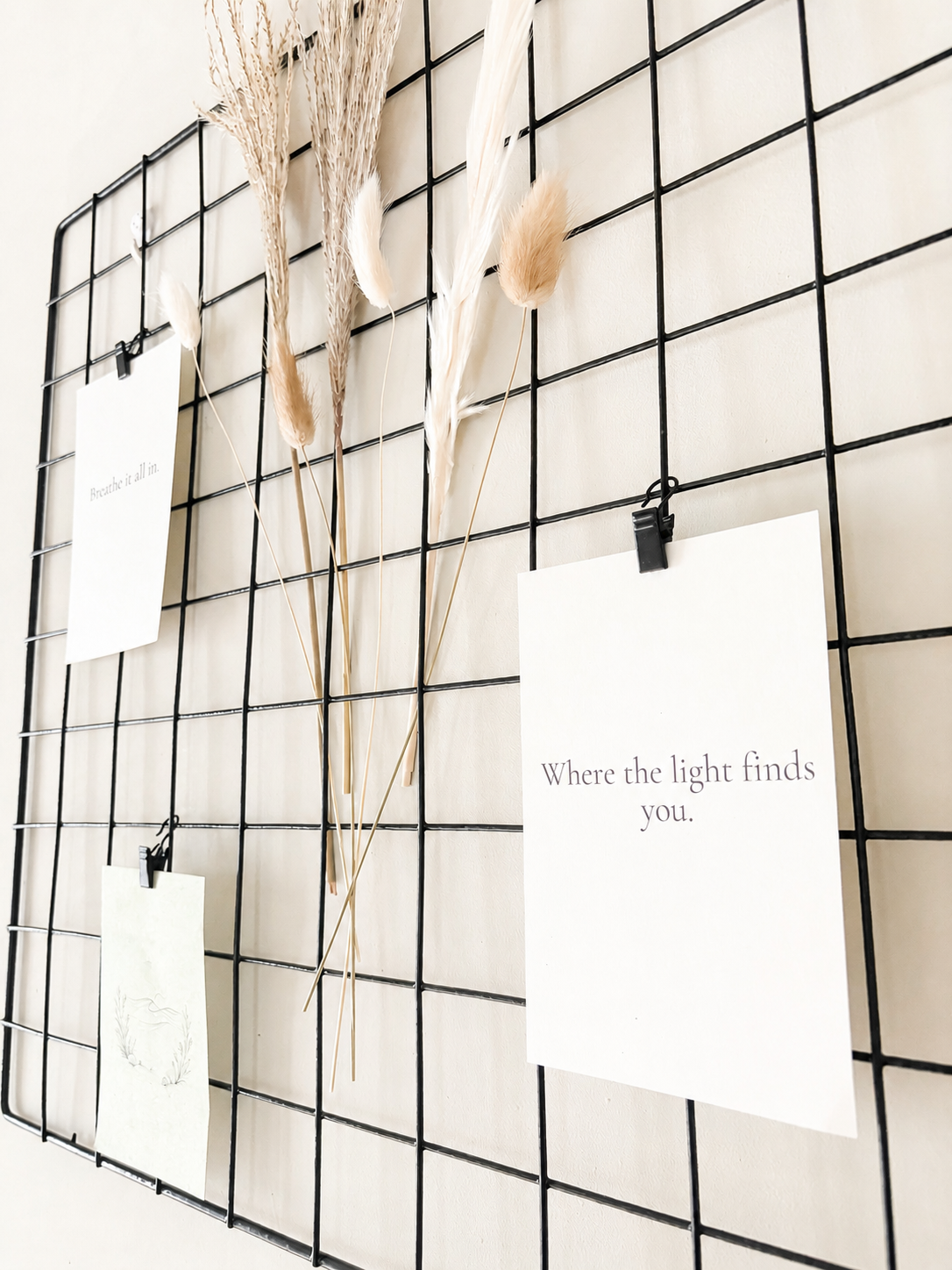 Grid wall with hanging cards and dried plants on a white background